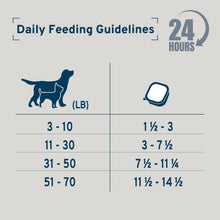 Load image into Gallery viewer, Forza10 DailyPro Lamb Wet Dog Food – Vet Formulated Daily Maintenance, Non-GMO, Made in Italy, 3.5 oz
