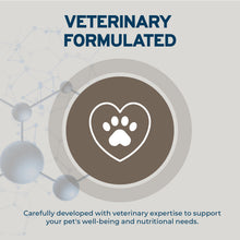 Load image into Gallery viewer, Forza10 DailyPro Lamb Wet Dog Food – Vet Formulated Daily Maintenance, Non-GMO, Made in Italy, 3.5 oz
