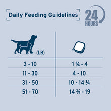 Load image into Gallery viewer, Forza10 DailyPro Mackerel Wet Dog Food – Vet Formulated Daily Maintenance, Non-GMO, Made in Italy, 3.5 oz
