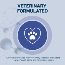Load image into Gallery viewer, Forza10 DailyPro Mackerel Wet Dog Food – Vet Formulated Daily Maintenance, Non-GMO, Made in Italy, 3.5 oz
