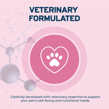 Load image into Gallery viewer, Forza10 DailyPro Pork Wet Dog Food – Vet Formulated Daily Maintenance, Non-GMO, Made in Italy, 3.5 oz
