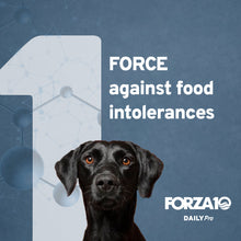 Load image into Gallery viewer, Forza10 DailyPro Chicken Wet Dog Food – Vet Formulated Daily Maintenance, Non-GMO, Made in Italy, 3.5 oz
