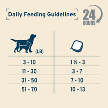 Load image into Gallery viewer, Forza10 DailyPro Chicken Wet Dog Food – Vet Formulated Daily Maintenance, Non-GMO, Made in Italy, 3.5 oz
