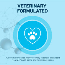 Load image into Gallery viewer, Forza10 DailyPro Tuna Wet Dog Food – Vet Formulated Daily Maintenance, Non-GMO, Made in Italy, 3.5 oz
