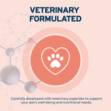 Load image into Gallery viewer, Forza10 DailyPro Salmon Wet Dog Food – Vet Formulated Daily Maintenance, Non-GMO, Made in Italy, 3.5 oz
