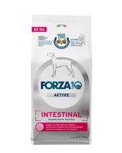 Load image into Gallery viewer, Intestinal Dry Dog Food for Sensitive Stomachs &amp; Digestive Support, Fish Flavor
