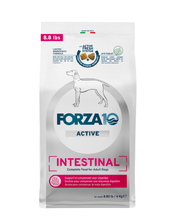 Load image into Gallery viewer, Intestinal Dry Dog Food for Sensitive Stomachs &amp; Digestive Support, Fish Flavor
