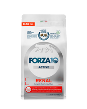 Load image into Gallery viewer, Renal Dry Cat Food for Kidney Support, Fish Flavor
