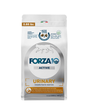Load image into Gallery viewer, Urinary Dry Cat Food for UTI Support, Fish Flavor
