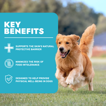 Load image into Gallery viewer, Hypo Wet Dog Food for Allergies, Skin &amp; Coat Support, Fish Flavor
