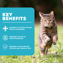 Load image into Gallery viewer, Hypo Wet Cat Food for Allergies, Skin &amp; Coat Support, Fish Flavor
