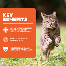 Load image into Gallery viewer, Renal Wet Cat Food for Kidney Support, Lamb Flavor
