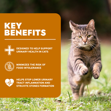 Load image into Gallery viewer, Urinary Wet Cat Food for UTI Support, Fish Flavor

