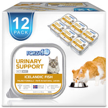 Load image into Gallery viewer, Forza10 Nutraceutic Actiwet Urinary Support Icelandic Fish Recipe Wet Cat Food
