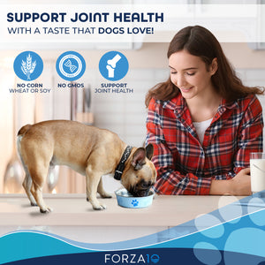 Forza10 Nutraceutic Sensitive Joint Plus Grain-Free Dry Dog Food