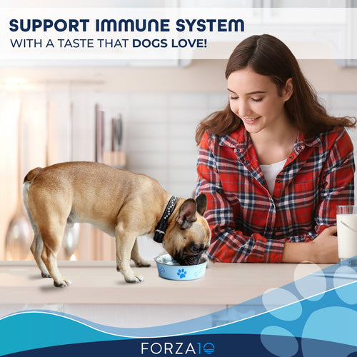 Dog food outlet for immune system