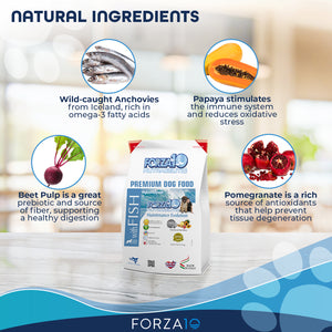 Forza10 Nutraceutic Maintenance Evolution Fish Dry Dog Food