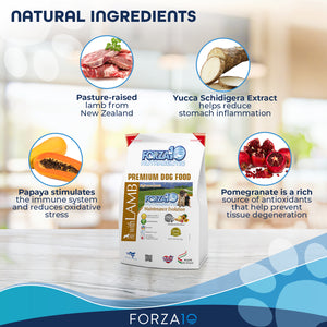 Forza10 Nutraceutic Maintenance Evolution Lamb Dry Dog Food