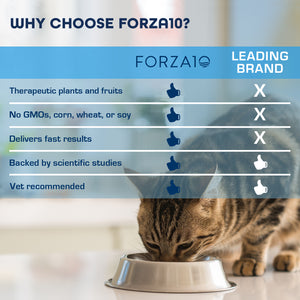 Forza10 Nutraceutic Active Kidney Renal Support Diet Dry Cat Food