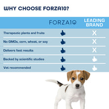 Load image into Gallery viewer, Forza10 Nutraceutic Active Puppy Chondro Diet Dry Dog Food
