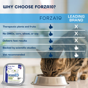 Forza10 Nutraceutic ActiWet Diabetic Support Icelandic Fish Recipe Canned Cat Food