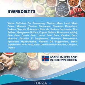 Forza10 Nutraceutic Legend Digestion Icelandic Chicken & Lamb Recipe Grain-Free Canned Dog Food