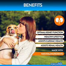 Load image into Gallery viewer, Forza10 Renal Support Supplement Soft Chews
