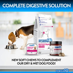 Forza10 Digestive Probiotics Supplement Soft Chews