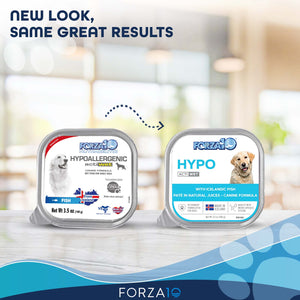 Forza10 Nutraceutic Actiwet Hypo Icelandic Fish Recipe Canned Dog Food