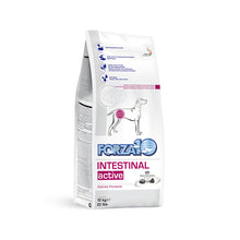 Load image into Gallery viewer, Forza10 Nutraceutic Active Intestinal Support Diet Dry Dog Food
